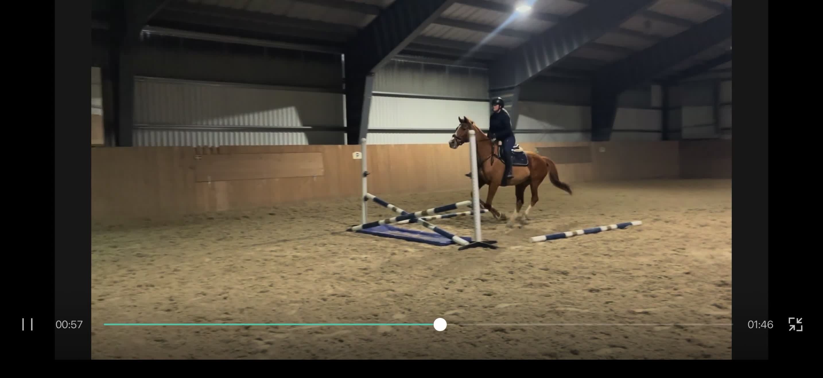 Allround hästar till salu: Charmigt fullblodssto med stor personlighet! i Hällingsjö - Video 2