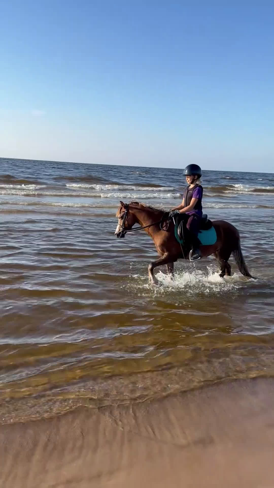 Galopp hästar till salu: Pony showjumping i Bräkne-Hoby - Video 1