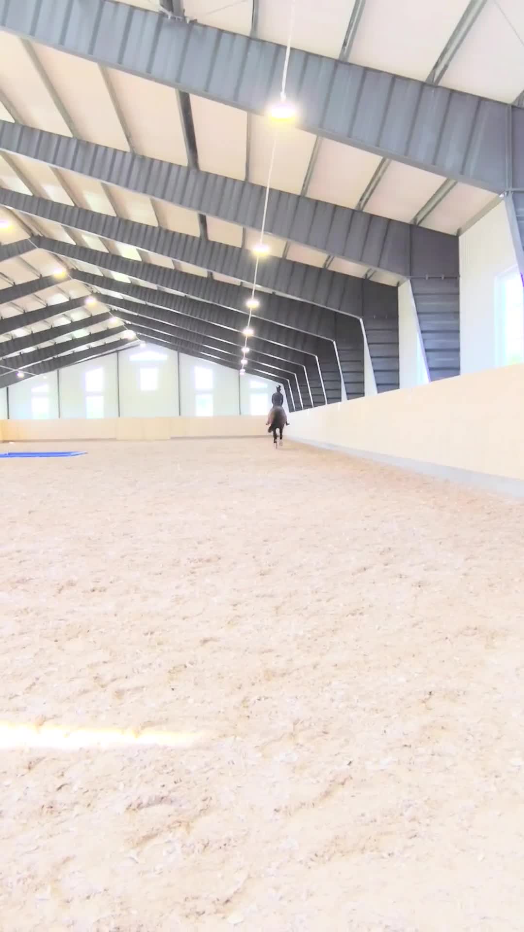 Hoppning hästar till salu: 5-årigt sto med enorm personlighet och potential  - Video 1