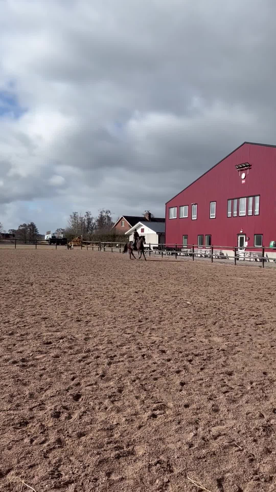 Hoppning hästar till salu: 🌟INTRESSEKOLL🌟 - Video 2