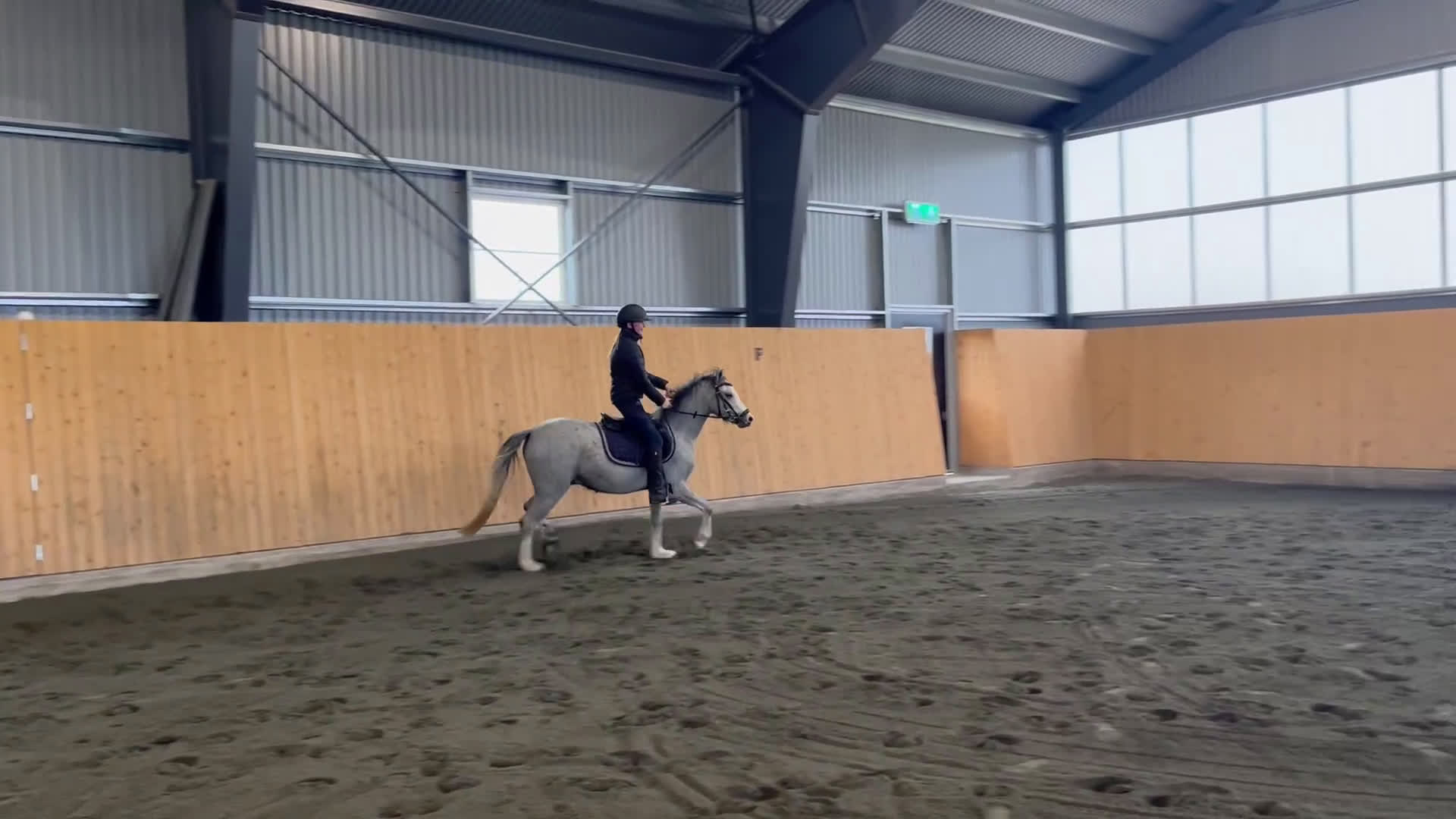 Hoppning hästar till salu: Ponny för framtiden, nedsatt pris! i Vara - Video 3