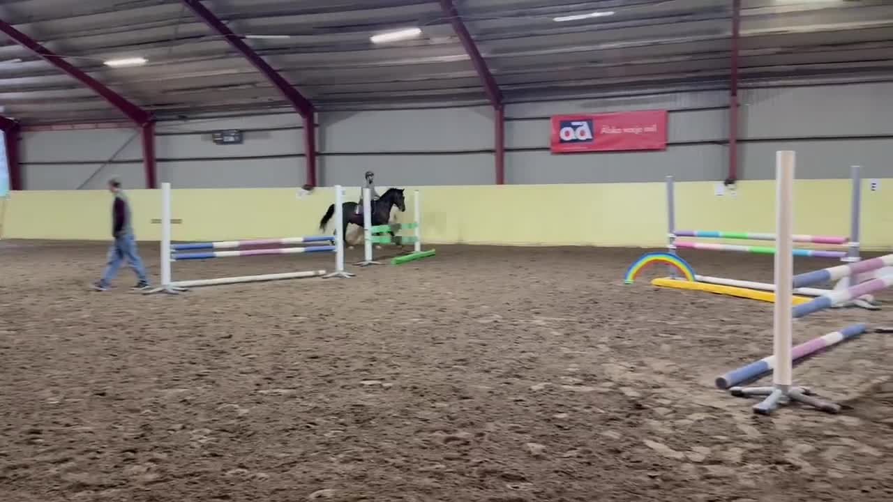 Dressyr hästar till salu: Maxad D-ponny  - Video 4
