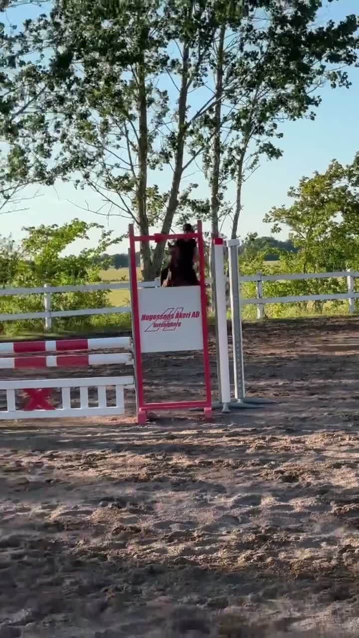 medryttarhäst sökes: Medryttarhäst sökes - Video 3