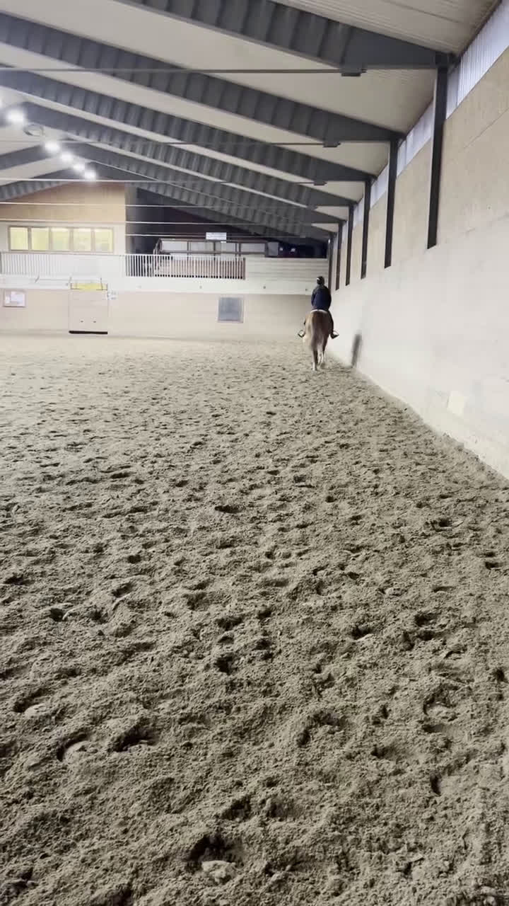 Allround hästar till salu: Ponny med hopp-potential 🩷 i Skövde - Video 2