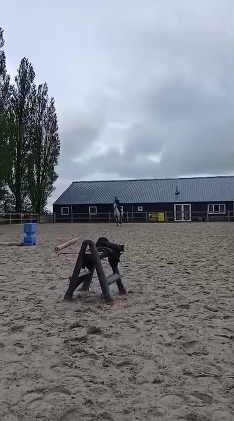 Allround hästar till salu: Unik allround inkörd pony - Video 3