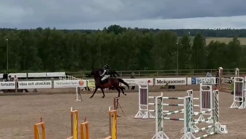 Hoppning hästar till salu: Fin tävlingshäst  i Gamleby - Video 1