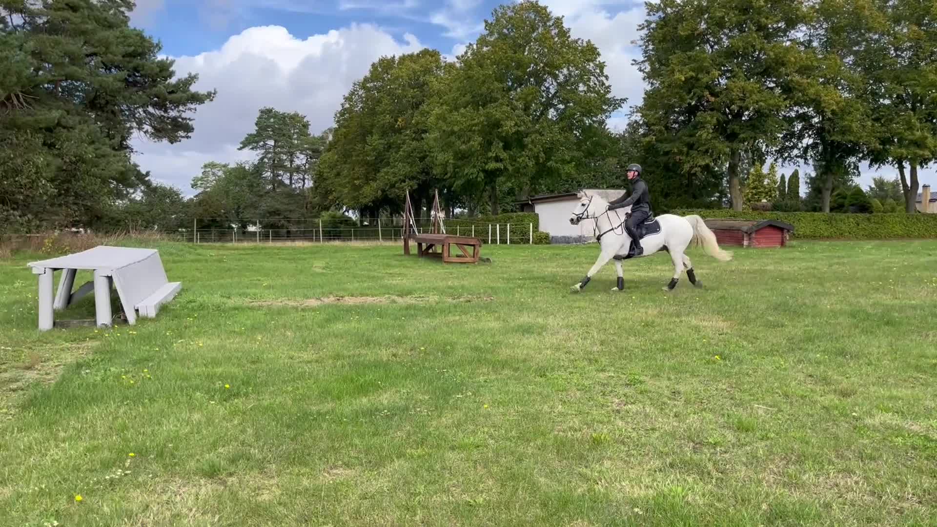 Fälttävlan hästar till salu: Rutinerad fälttävlans ponny! - Video 5