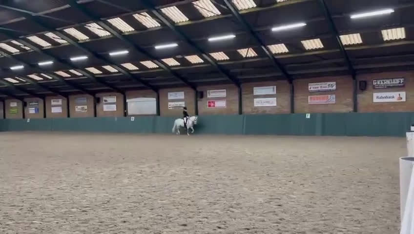 Allround hästar till salu: Drömponny i Sundsvall - Video 1