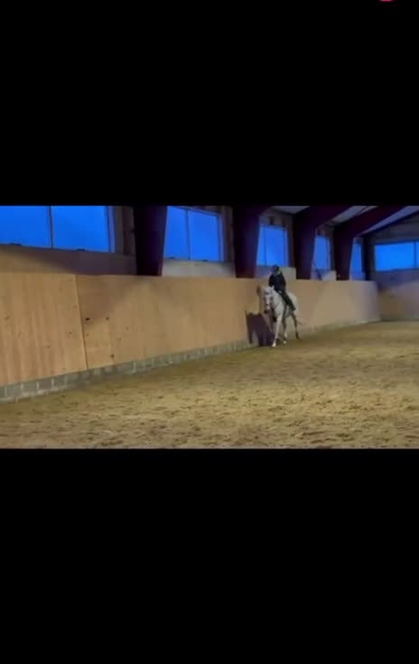 Allround hästar till salu: Lyxig mamma/dotter häst  - Video 2