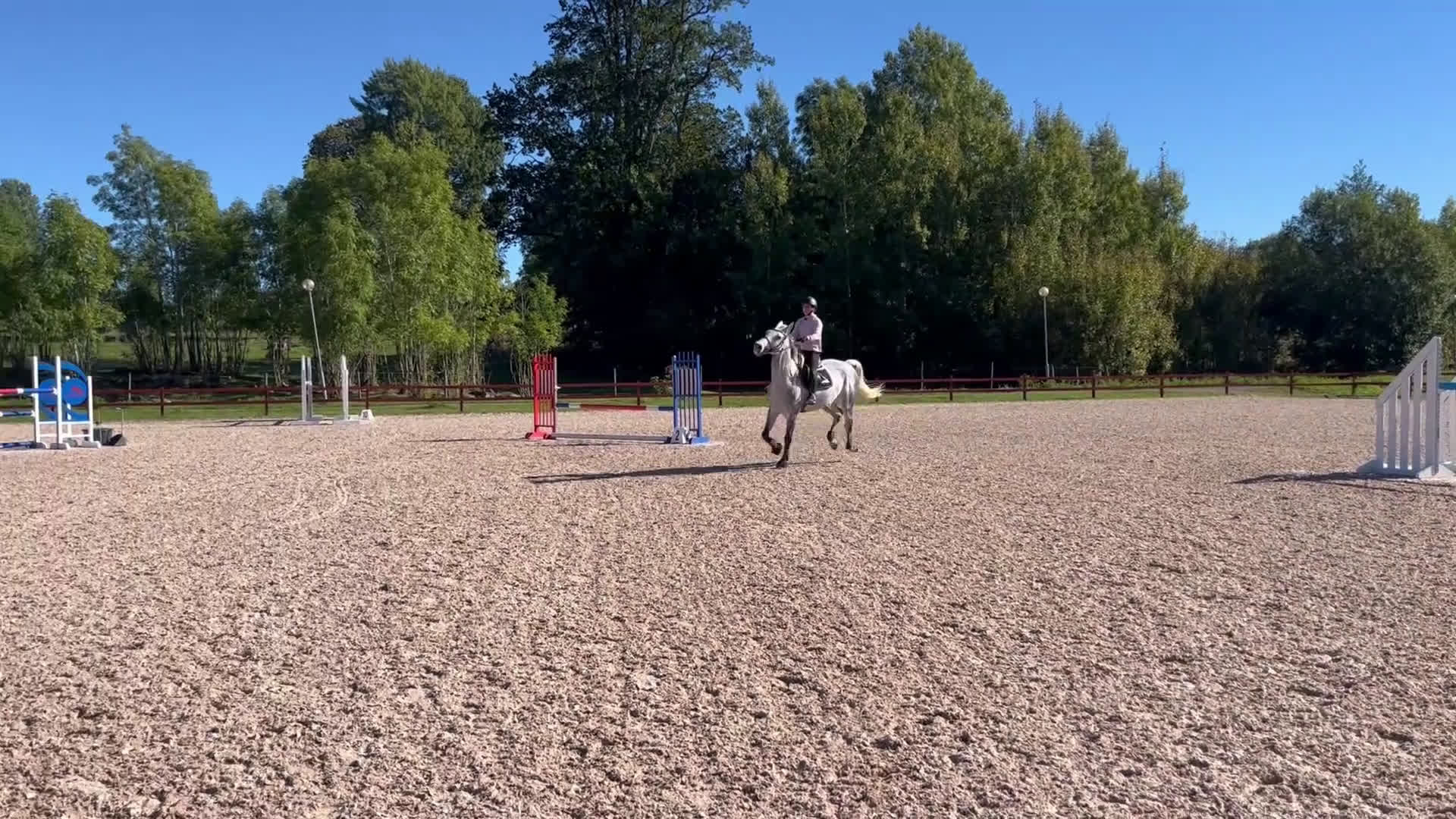 Fälttävlan hästar till salu: Fantastiskt SWB-sto för hopp/fälttävlan i Vetlanda - Video 2