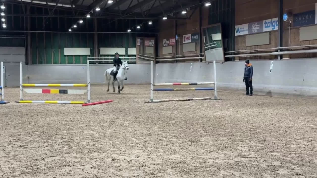 Hoppning hästar till salu: Din nya bästa vän - Video 2