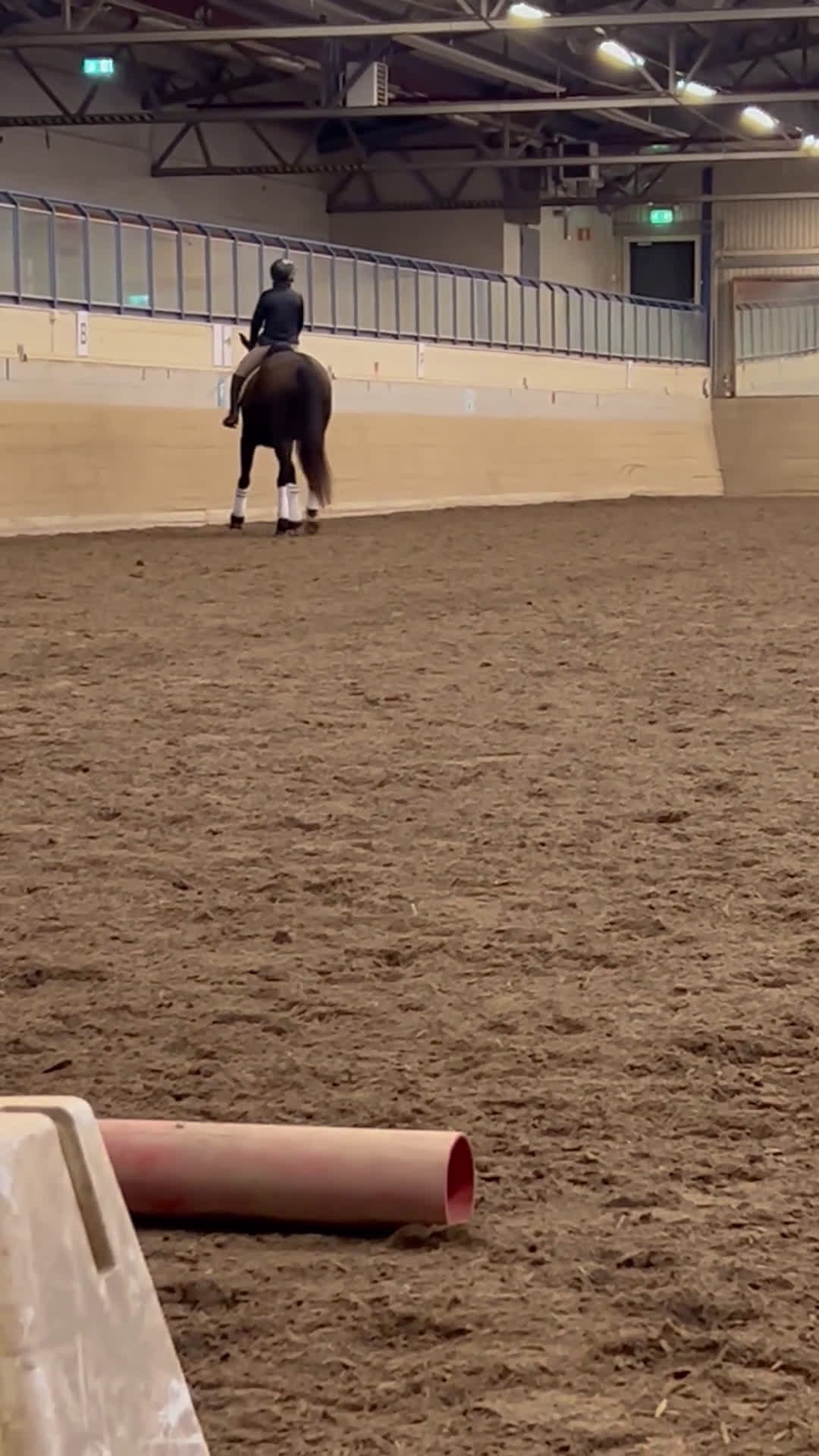 Dressyr hästar till salu: Jättefint dressyrsto säljes i Rosvik - Video 1