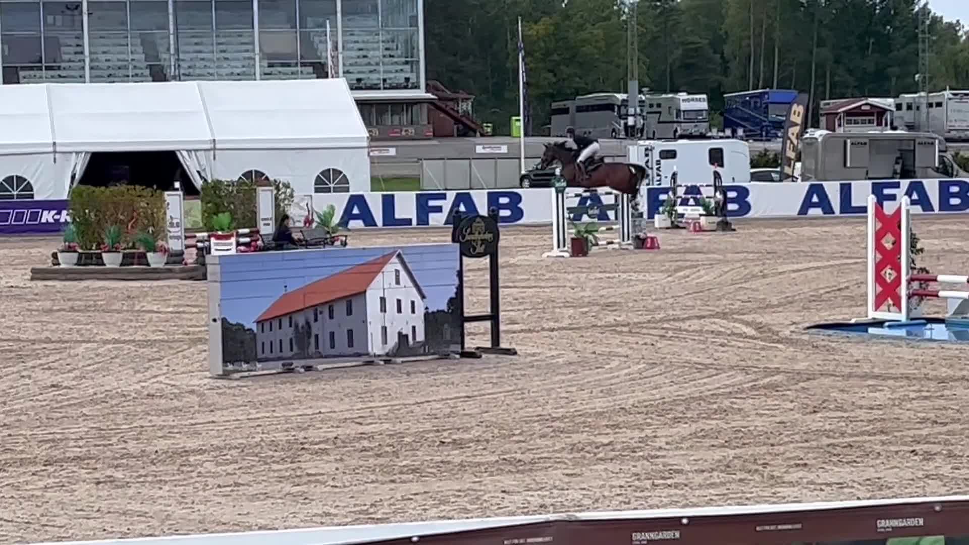 Allround hästar till salu: Trevligt sto med bra stam - Video 1