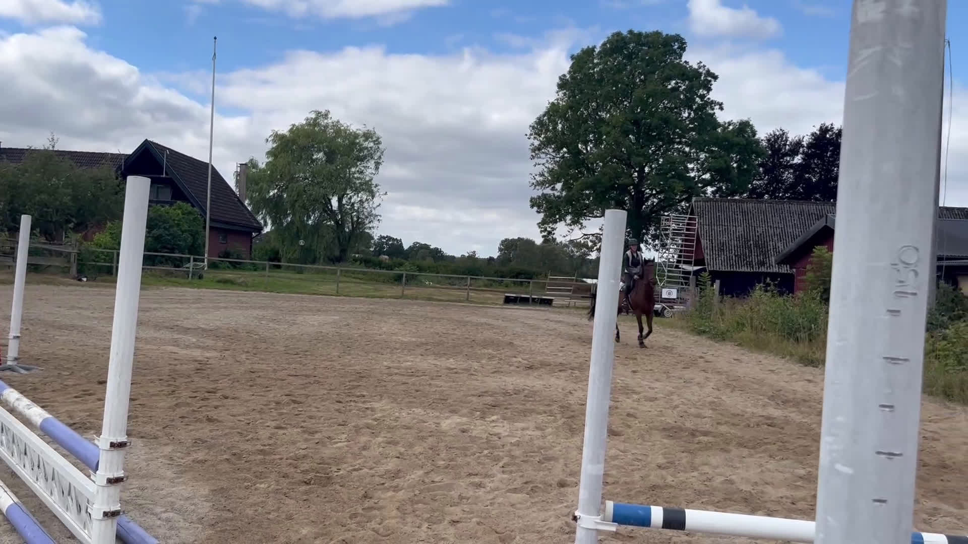 Fälttävlan hästar till salu: Underbar unghäst med ett toppen psyke! i Höör - Video 1