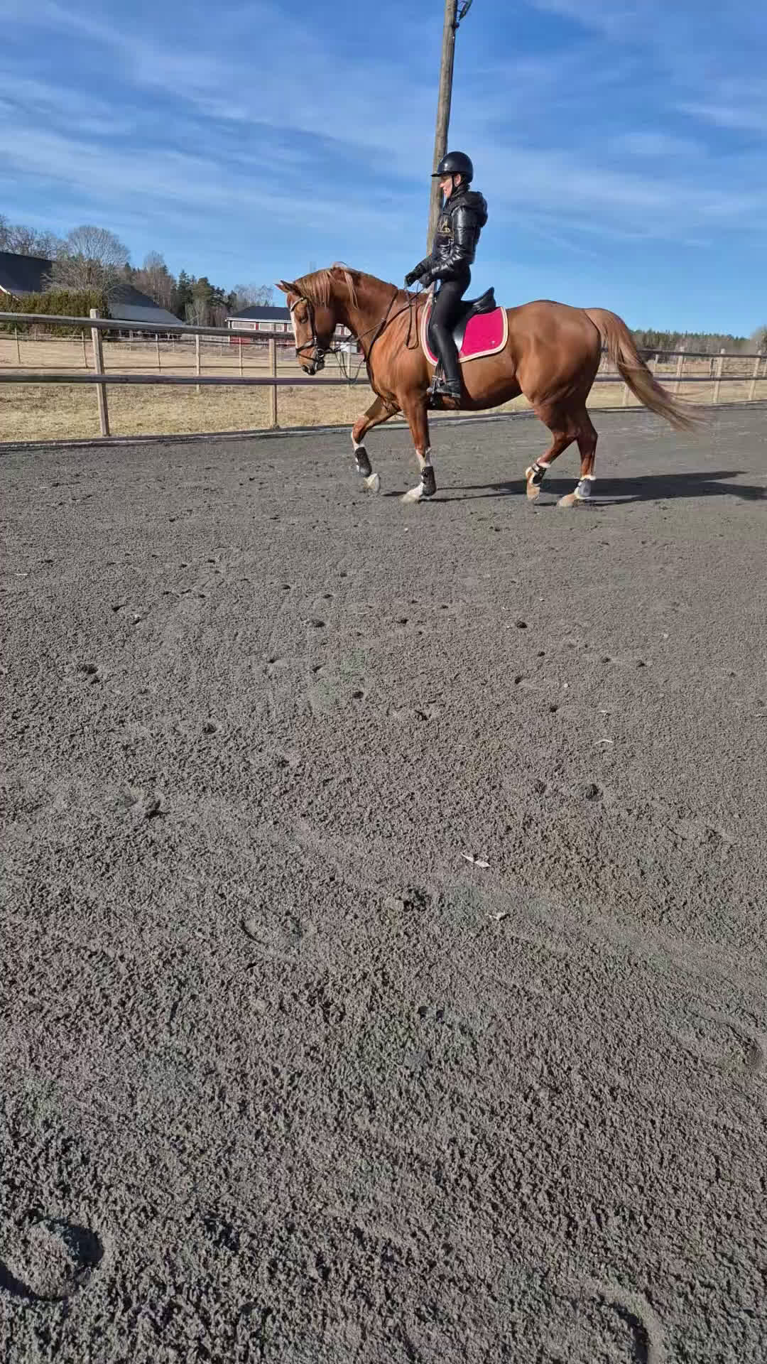  hästservice finnes: Söker duktig ryttare/utbildare till 9-årigt sto  - Video 1