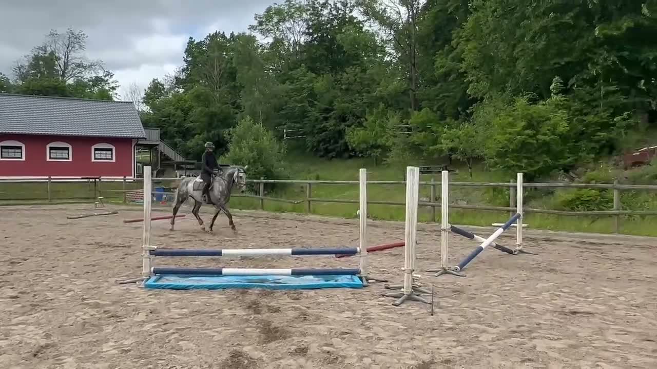 Allround hästar till salu: Val f-20 e. Copycat-Cardento Ca169cm. - Video 2
