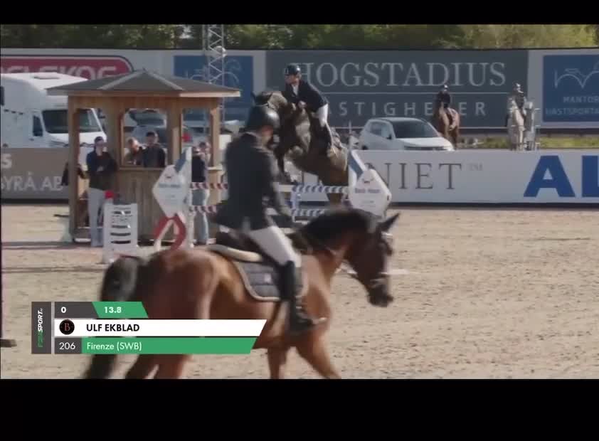 Hoppning hästar till salu: Kvalitetshäst - Video 2