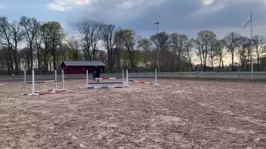 Allround hästar till salu: Hoppglad kille söker ny bästa vän! i Klippan - Video 1
