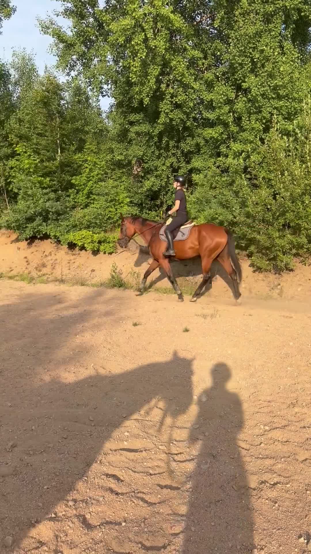 Hoppning hästar till salu: Härligt hoppsto🌟 - Video 5