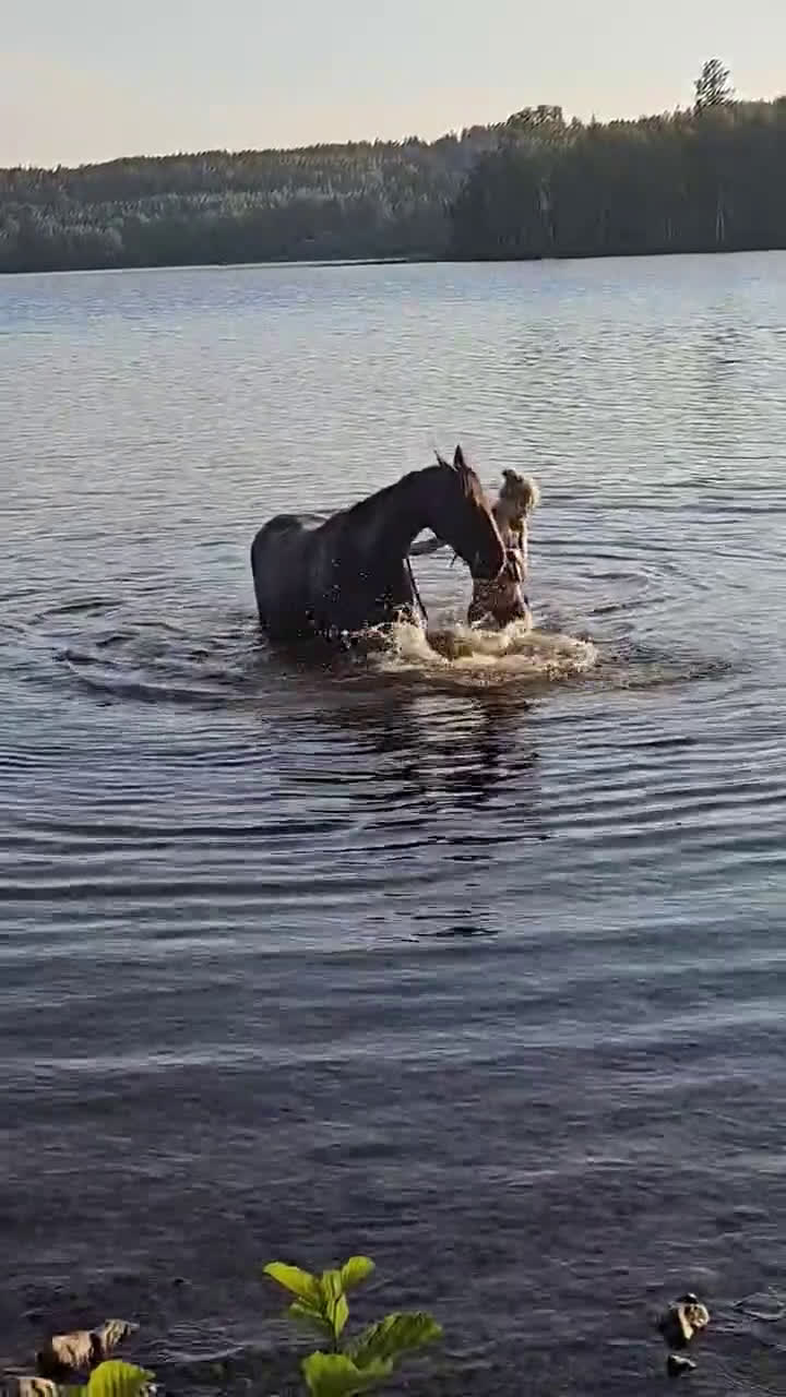  stallplats finnes: Lösdrift Eller Box - Video 1