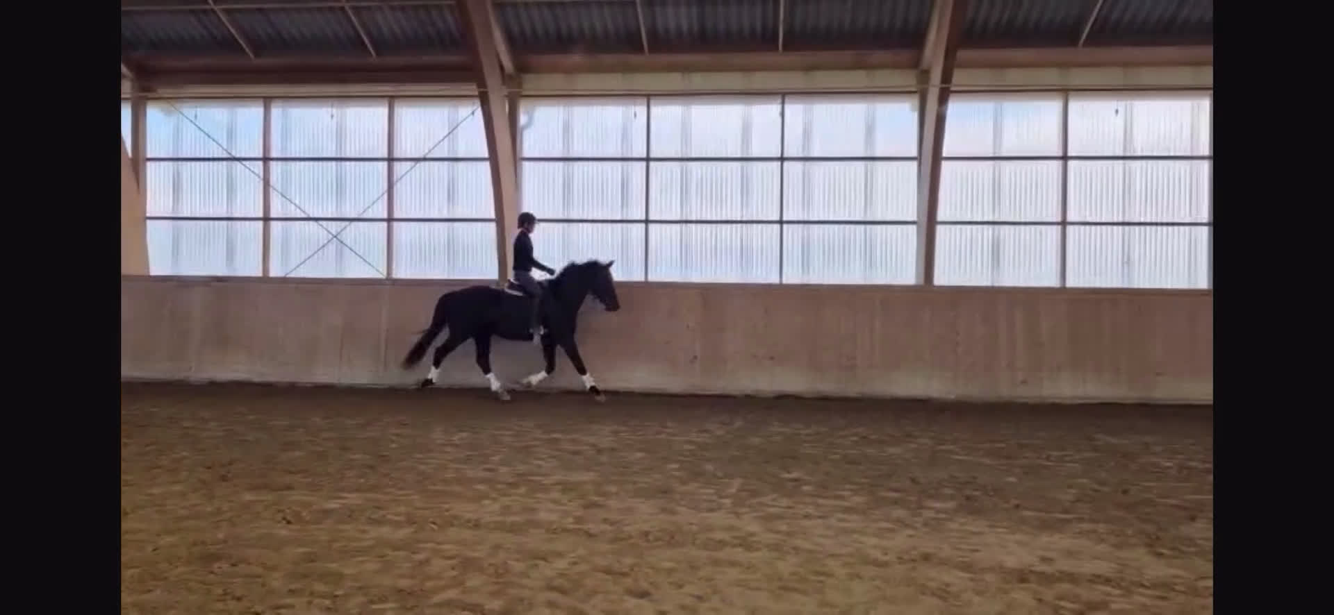 Dressyr hästar till salu: Sto e. Total hope! i Smygehamn - Video 4