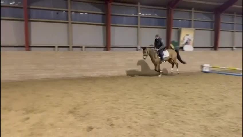 Hoppning hästar till salu: 🌟 Skøn allround pony til salg 🌟 - Video 3