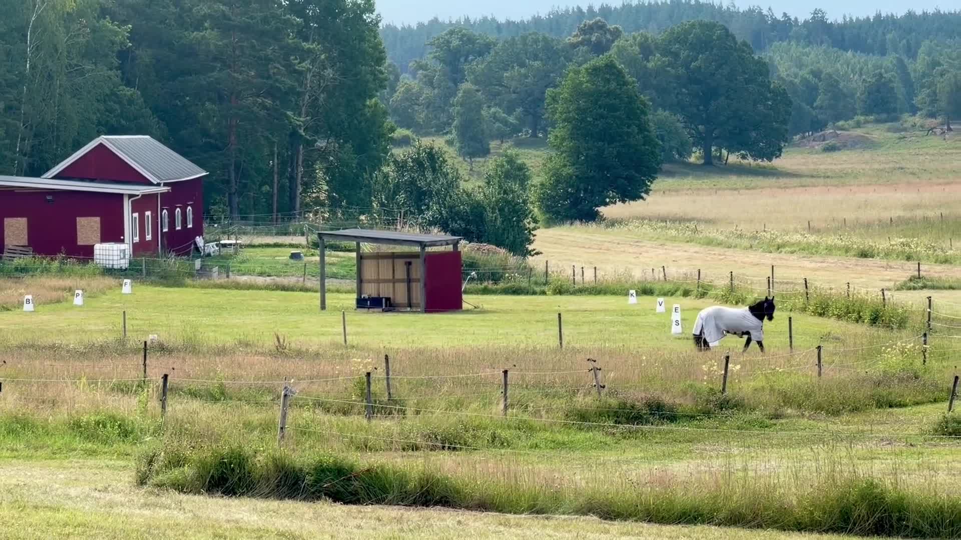 stallplats finnes: Ledig Stallplats  - Video 4