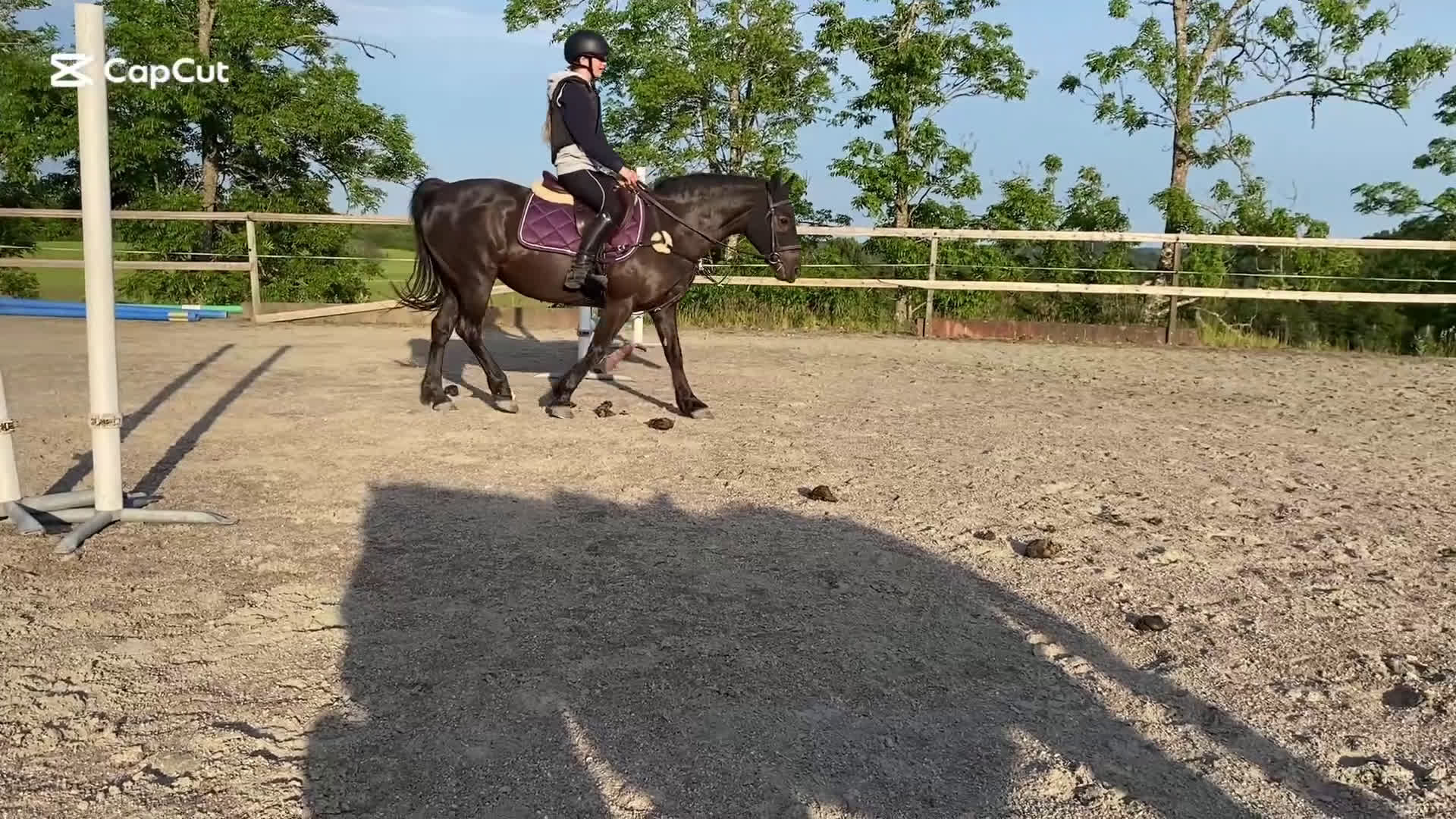 Övrigt hästar till salu: Gulligt sto - Video 1