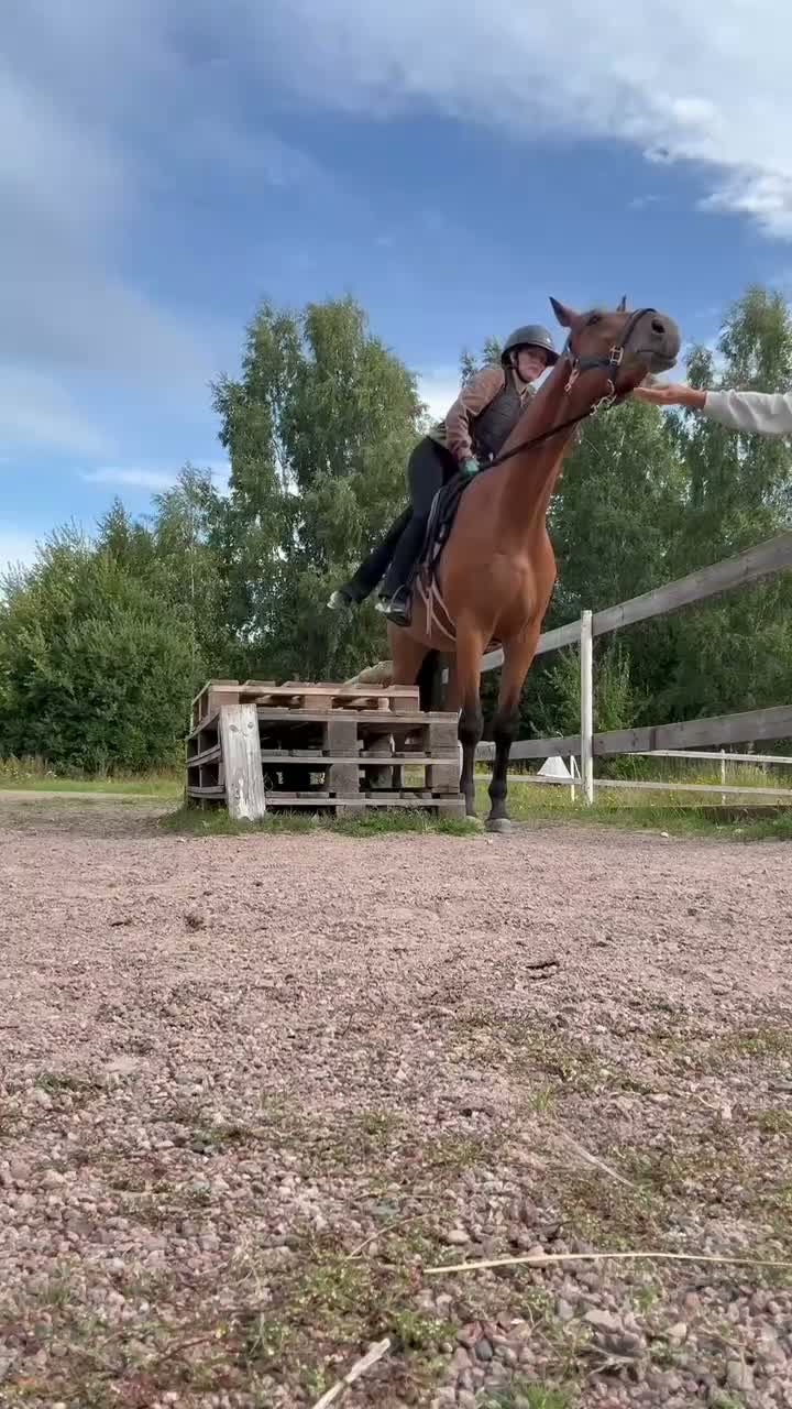 Allround hästar till salu: Fälttävlans ämne! - Video 3