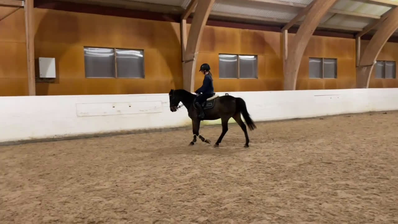 Allround hästar till salu: Fantastisk D-ponny till salu i Bankeryd - Video 3