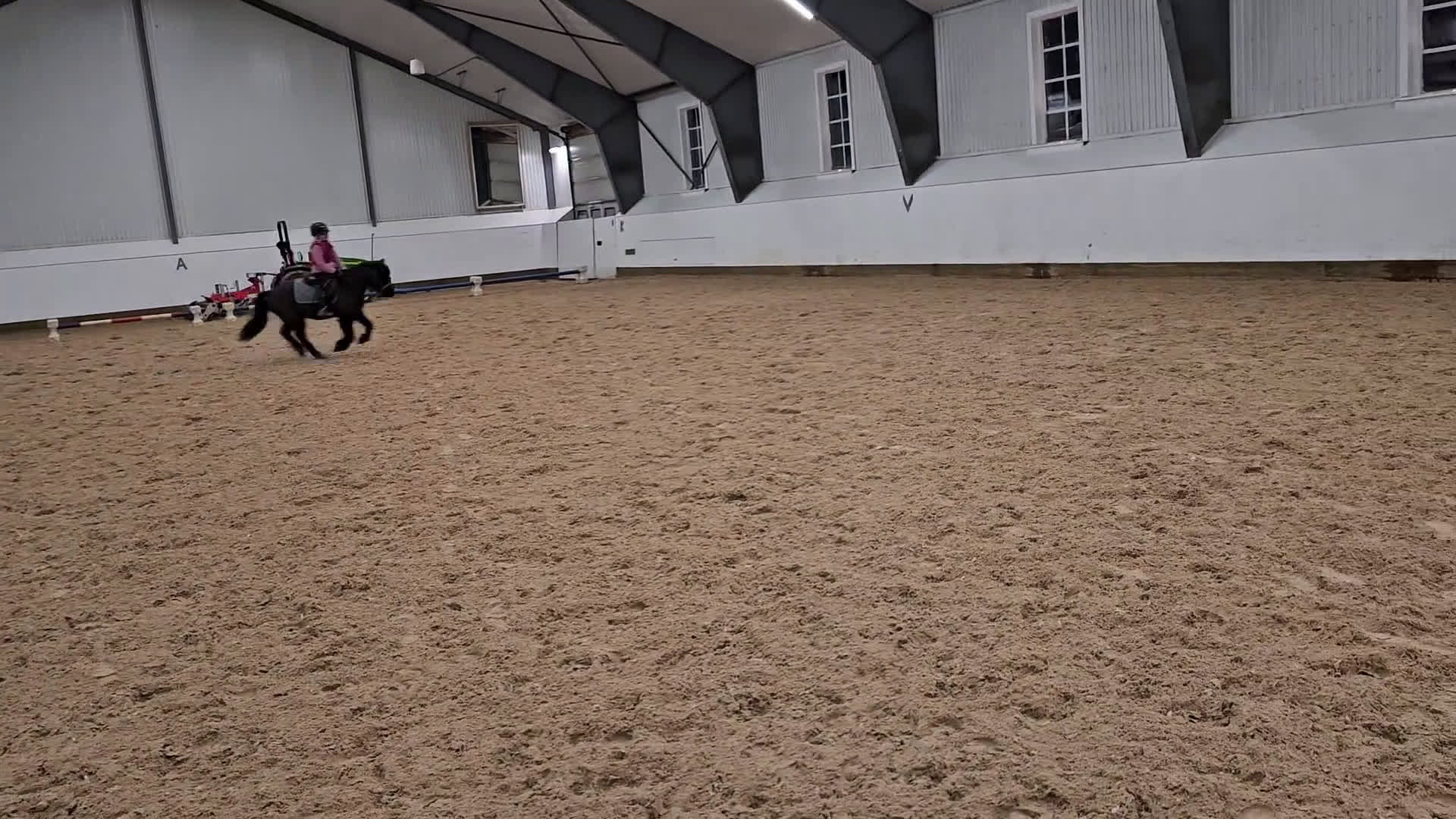 Allround hästar till salu: B ponny med guldhjärta - Video 1