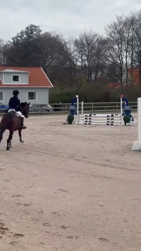 Hoppning hästar till salu: Trevligt sto ev bytes - Video 1