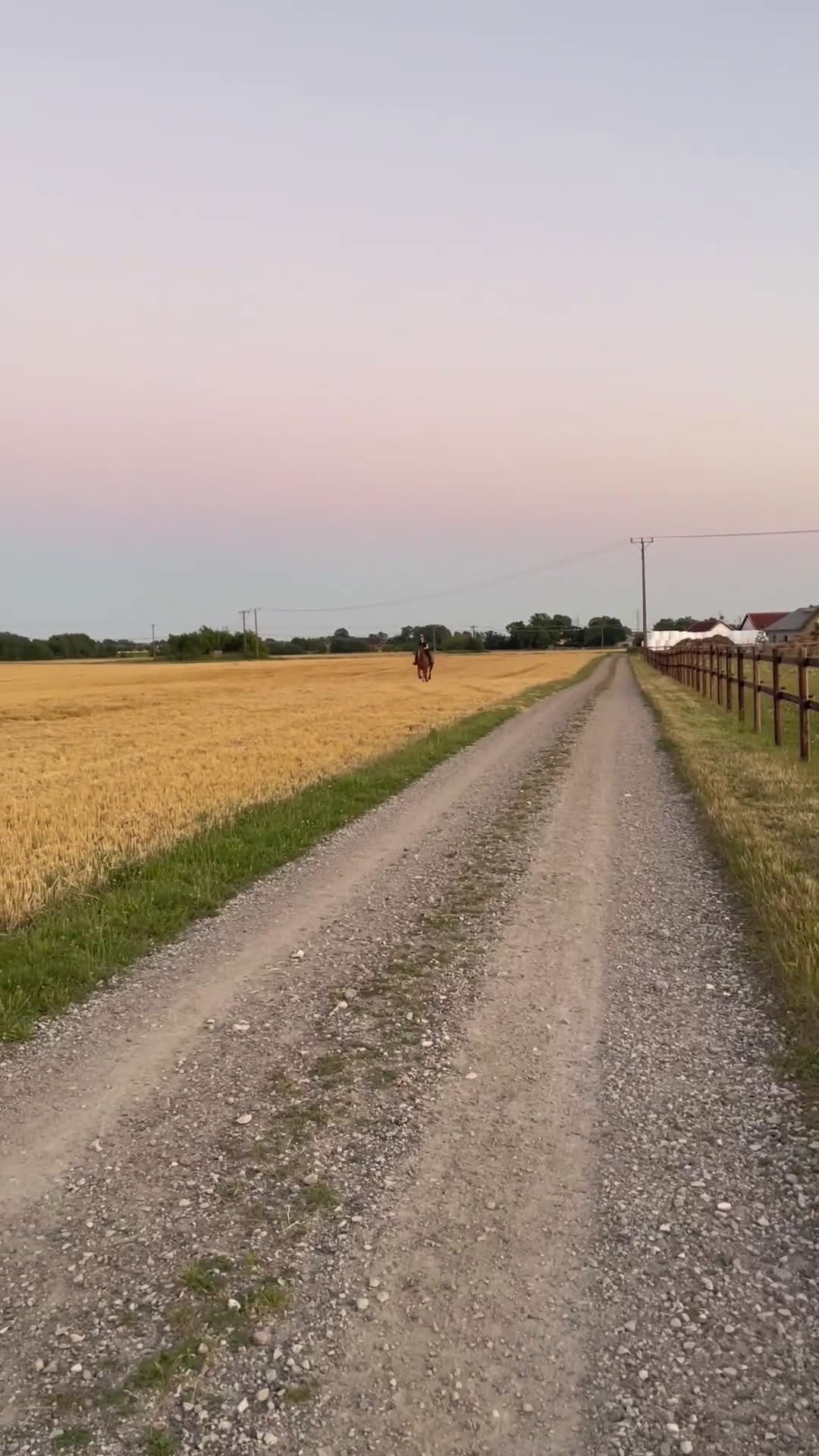 Allround hästar till salu: Fantastiskt fullblod i Löddeköpinge - Video 3