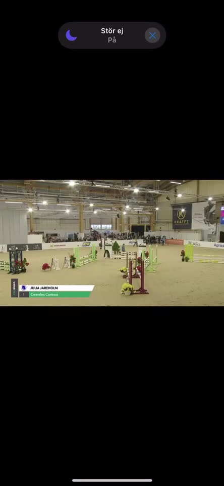 Hoppning hästar till salu: Vackert b-ponnysto i Sala - Video 1