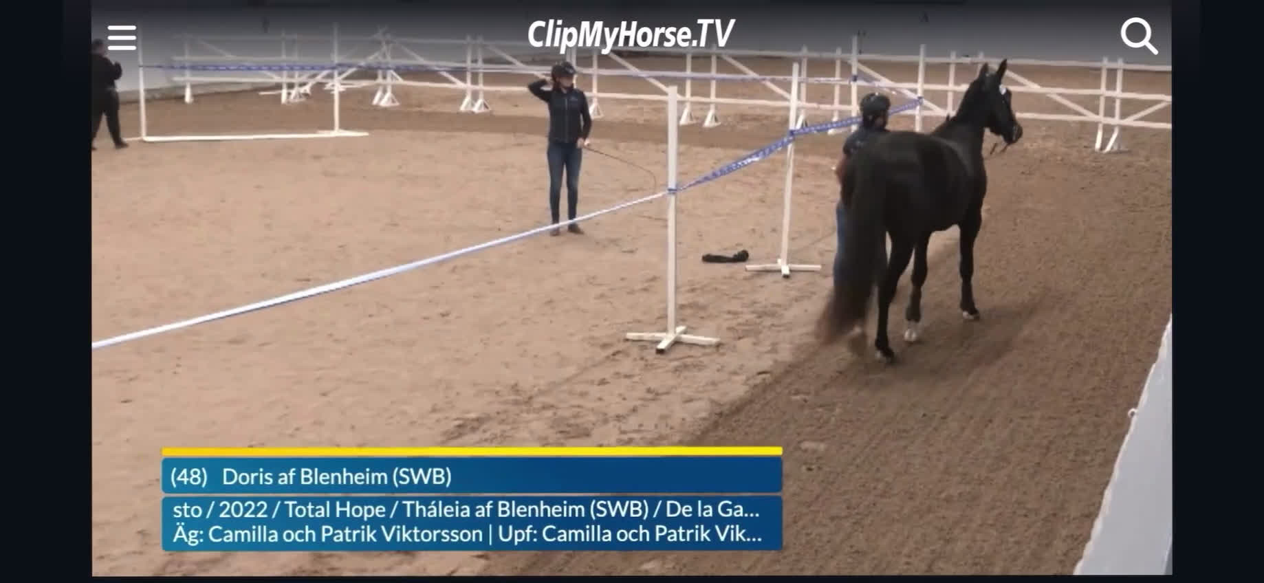 Dressyr hästar till salu: Sto e. Total hope! i Smygehamn - Video 3