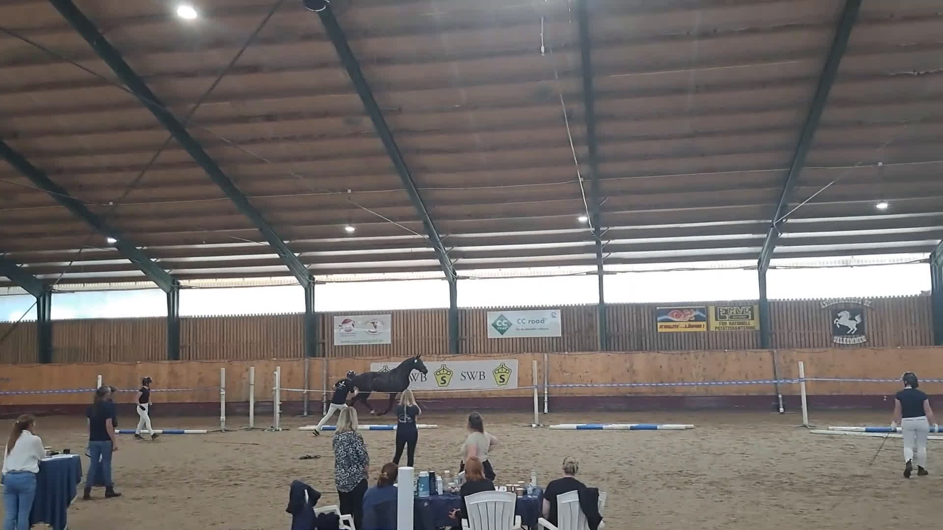 Dressyr hästar till salu: Trygg lovande unghäst med GP möderne i Hörby - Video 2