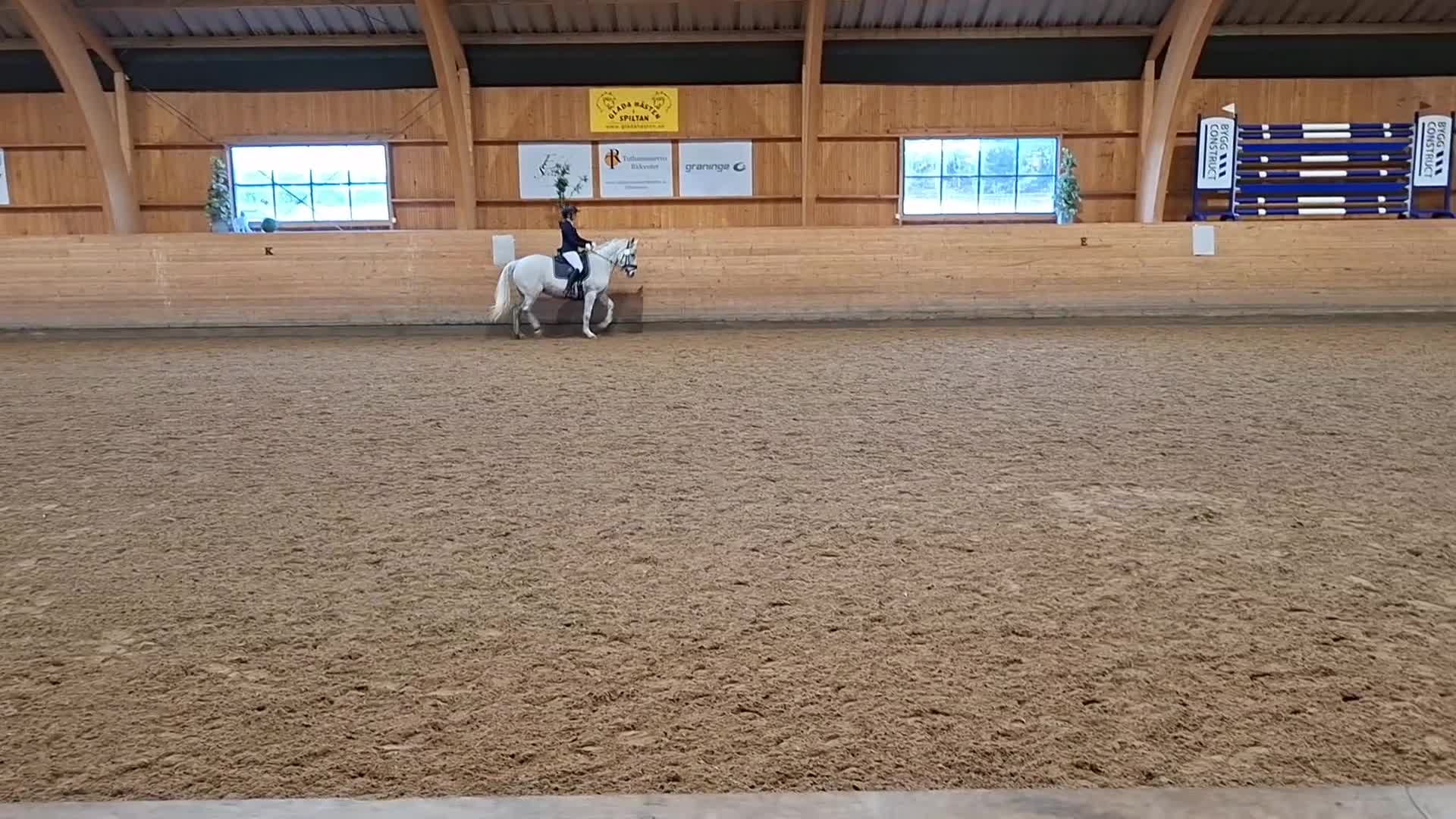 Allround hästar till salu: Pigg allroundponny  - Video 1