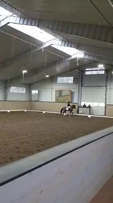 Dressyr hästar till salu: Läromästare för den rutinerade  i Gnesta - Video 3