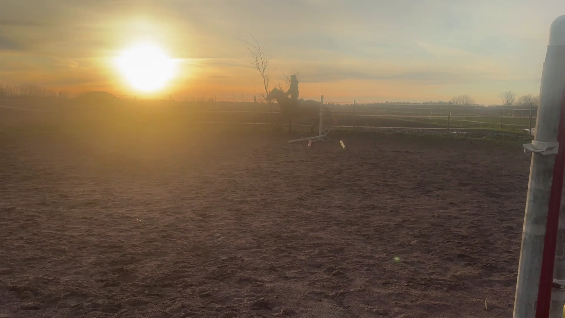 Allround hästar till salu: Uttrycksfullt Sto  i Dösjebro - Video 3