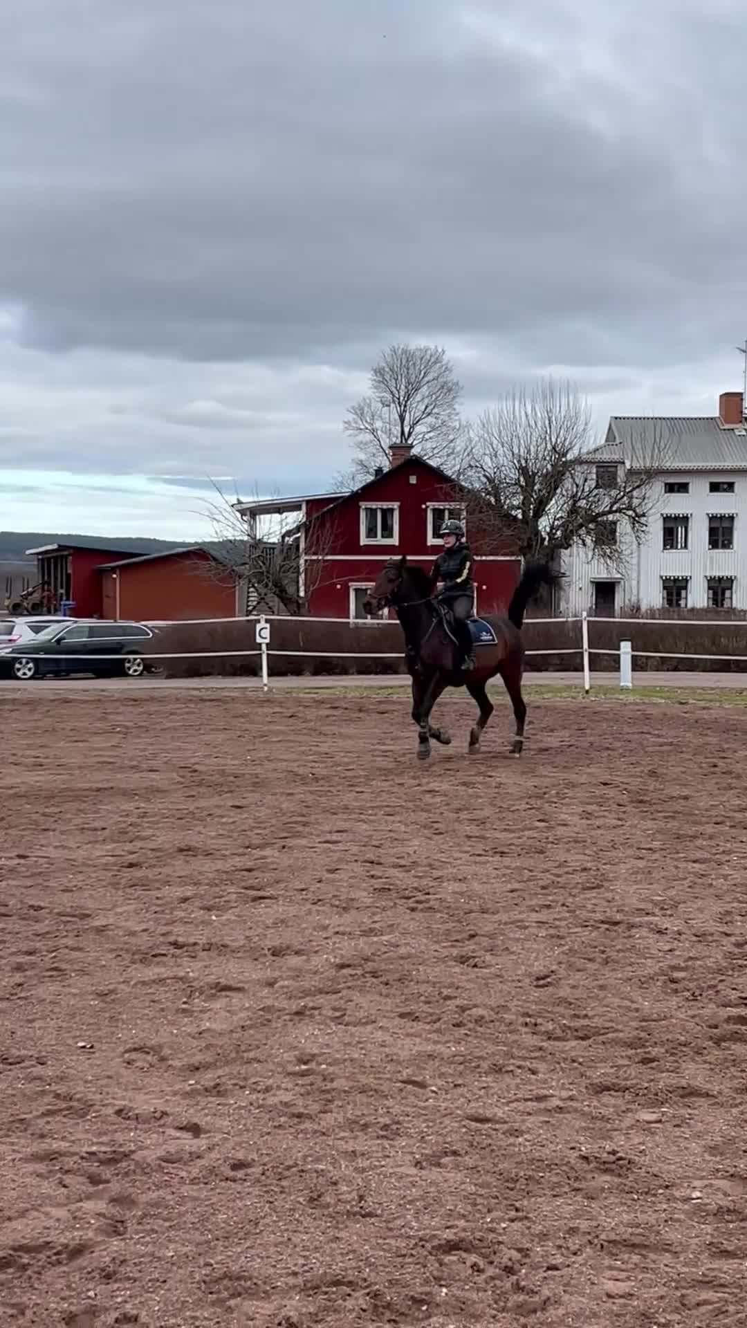 Hoppning hästar till salu: Pigg och arbetsvillig D-ponny i Hedemora - Video 2