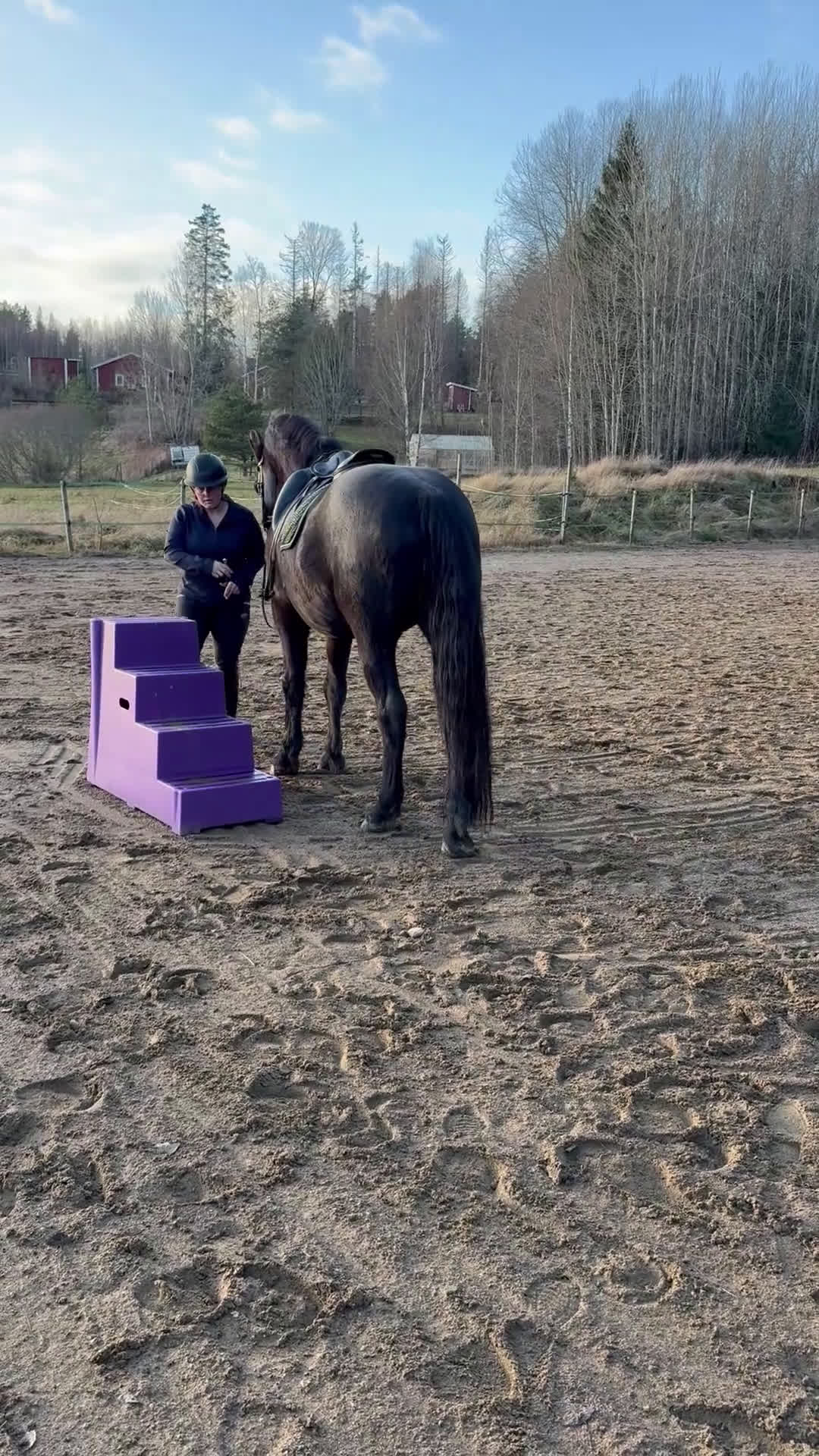 Allround hästar till salu: Trevlig frieser/hbl-valack i Vagnhärad - Video 2