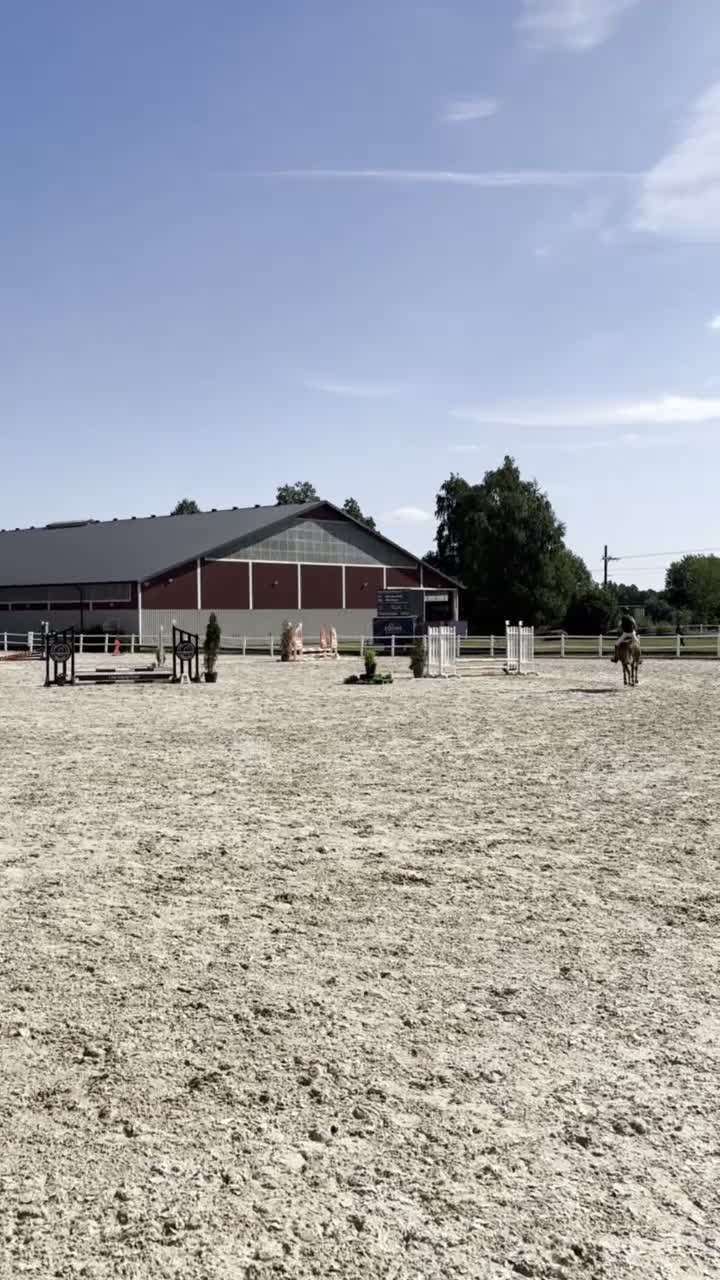 Allround hästar till salu: Nätt D-ponny med mycket energi - Video 1