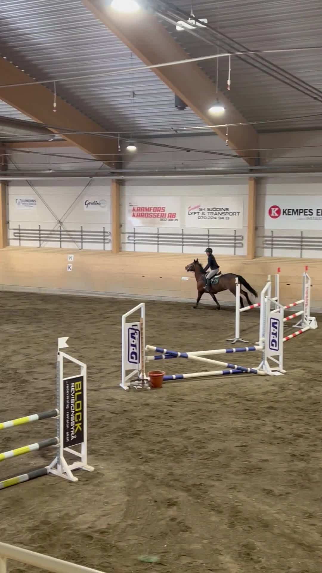 Hoppning hästar till salu: 🇮🇪 Hopponny med tryck 🇮🇪 - Video 2