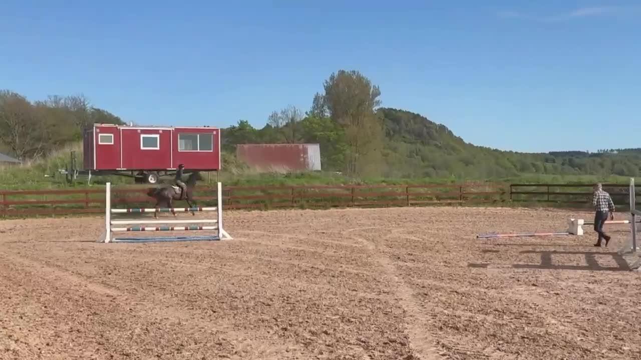 Hoppning hästar till salu: Perfekt Childrens häst  - Video 1