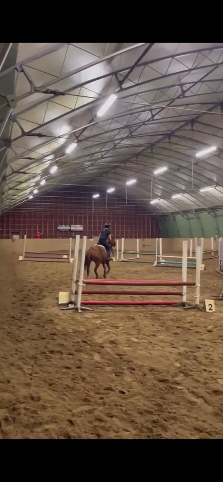 Allround hästar sökes: Söker medryttarhäst⭐️ i Öjersjö - Video 1