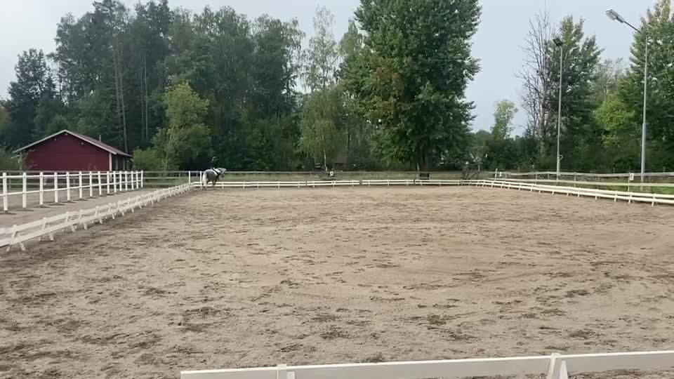 Allround hästar till salu: Läromästare allround i Mullhyttan - Video 5