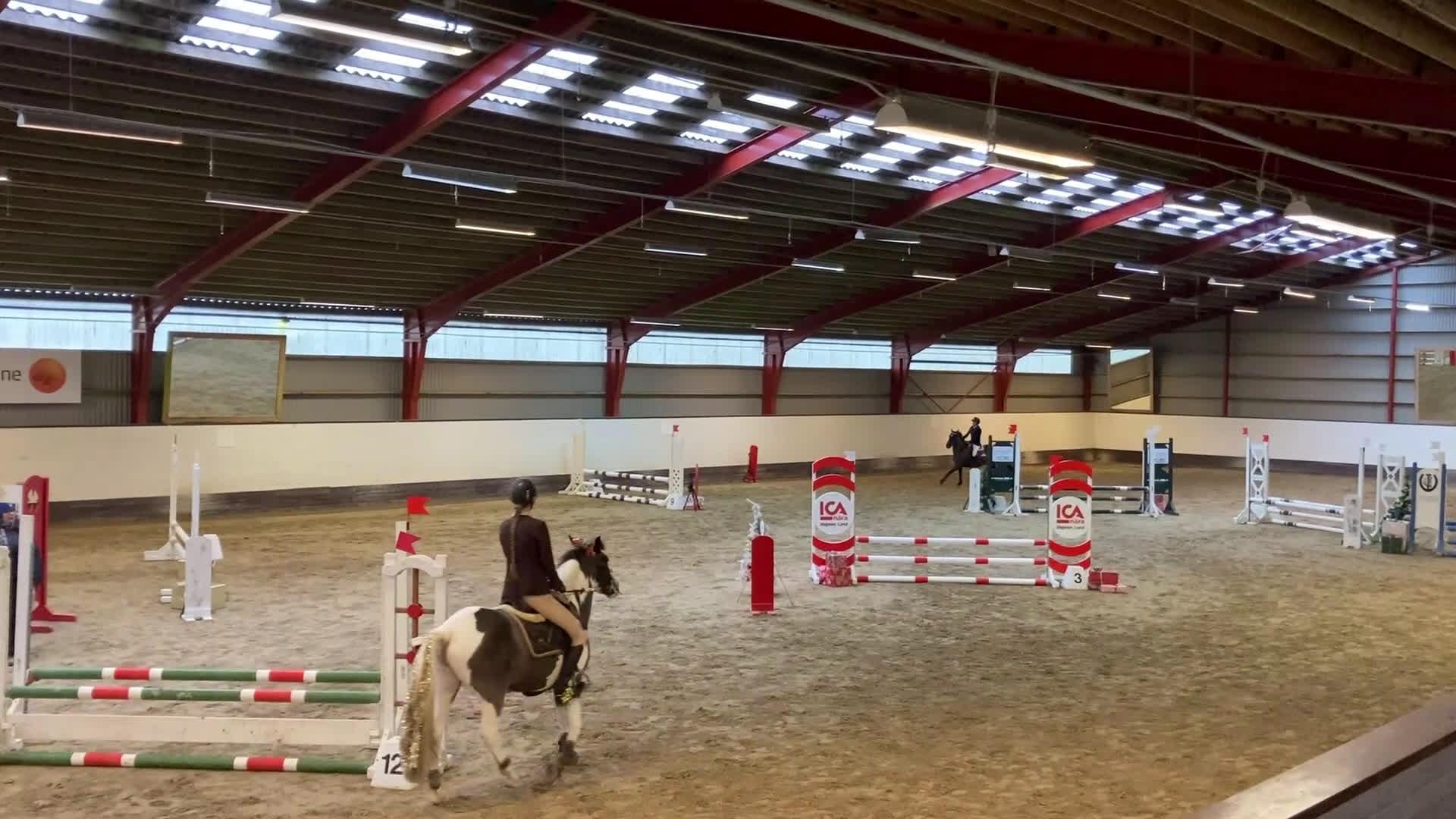 Hoppning hästar till salu: Snäll c-ponny till salu i Bromölla - Video 3