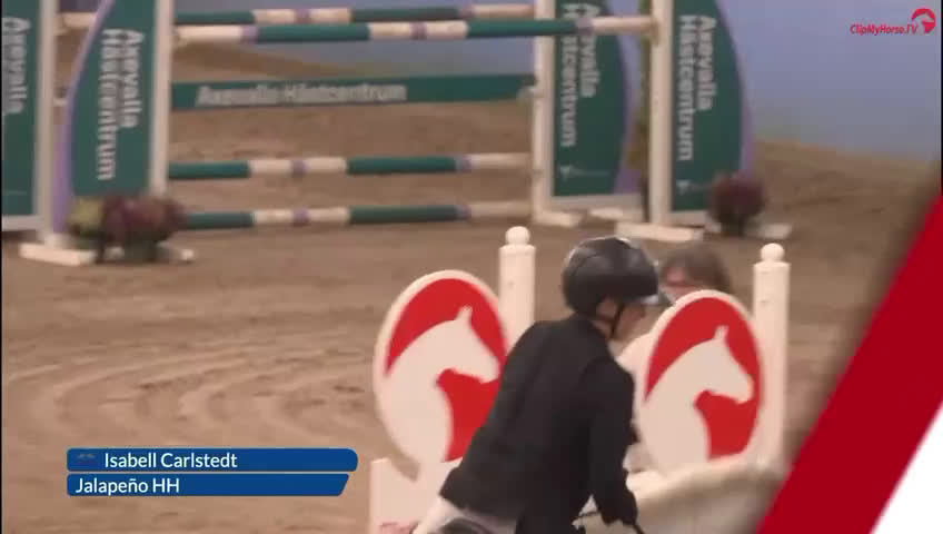 Hoppning hästar till salu: Bästa Jalapeno! i Kimstad - Video 3