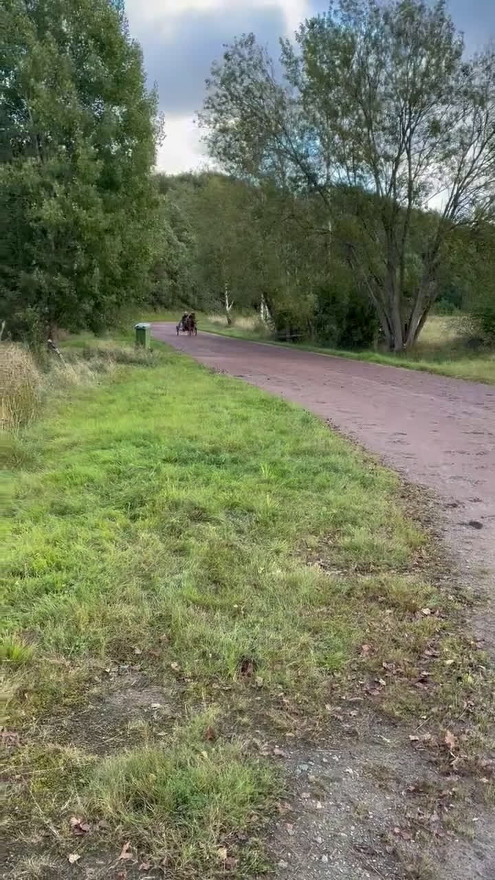 Trav hästar till salu: Bra stammad 2 åring för årgångsloppen! - Video 1