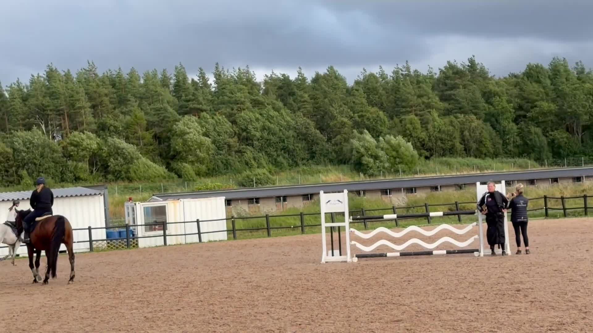 Hoppning hästar till salu: Selektionssto med placeringar i 1.45 - Video 1
